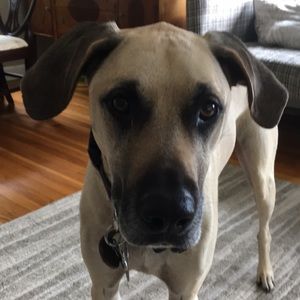 Meet your Posher, Amy